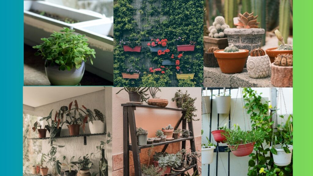 Indoor Garden Ideas