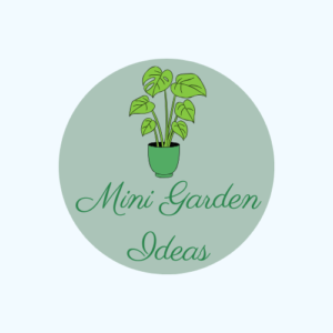 Mini Garden Ideas