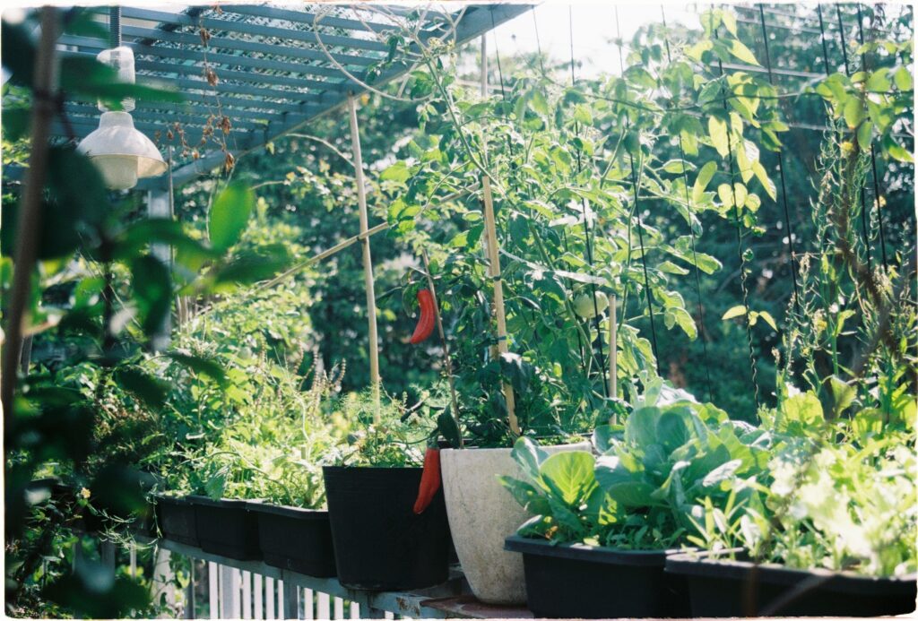 Container Gardening