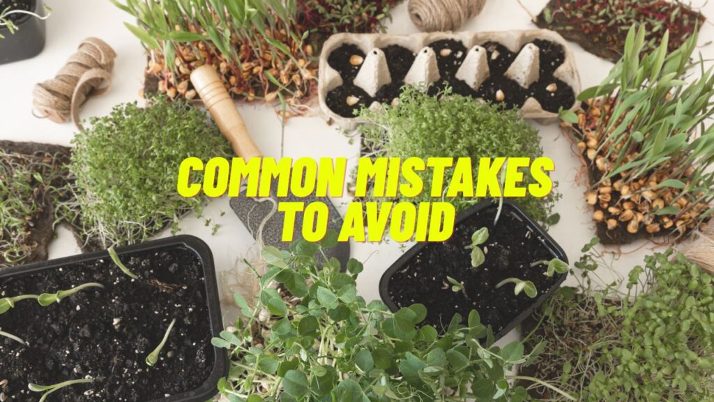 Common Mistakes to Avoid