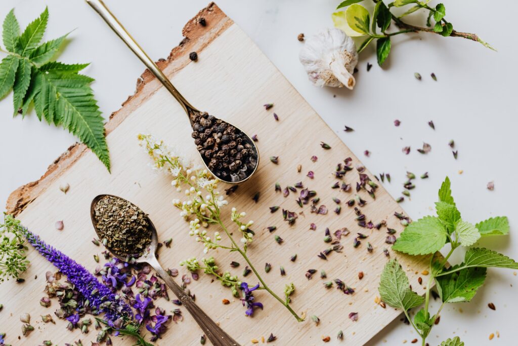 Mini Herb Garden Ideas for Apartment Living