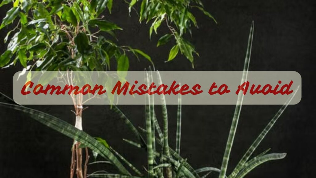 Common Mistakes to Avoid