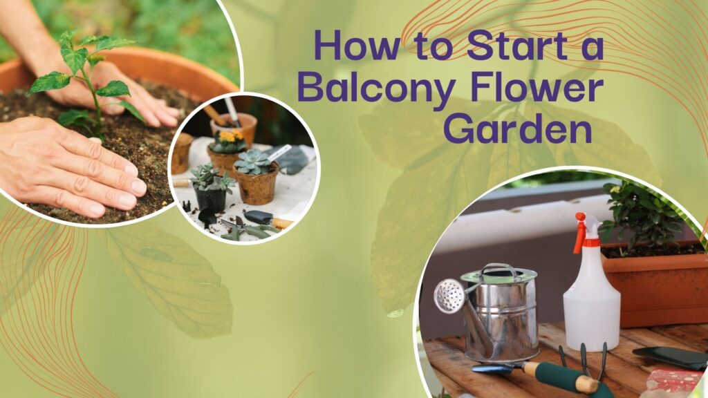 How to Start a Balcony Flower Garden