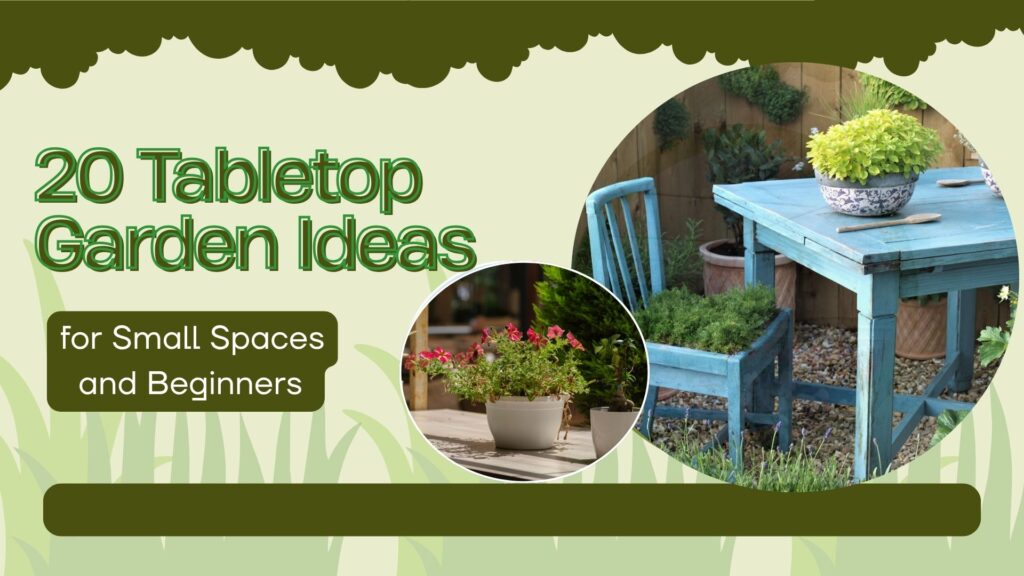 20 Tabletop Garden Ideas for Small Spaces & Beginners
