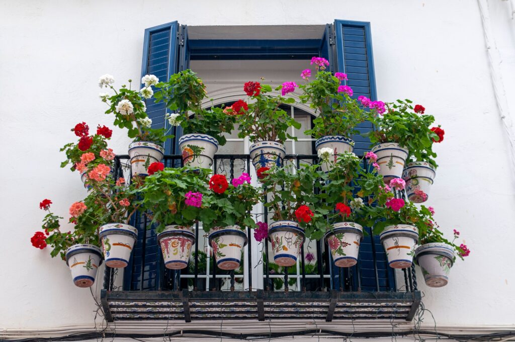 Different Shades of Flowers