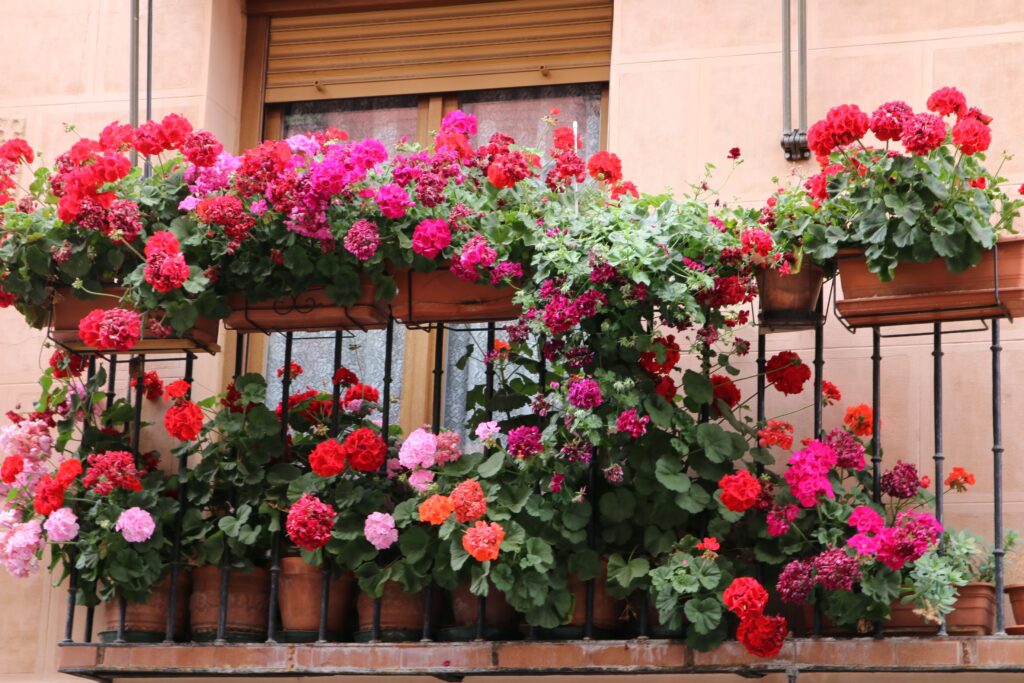 Fragrant Flowers