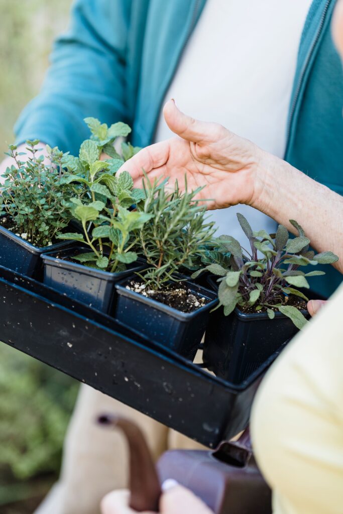 Herb Trays