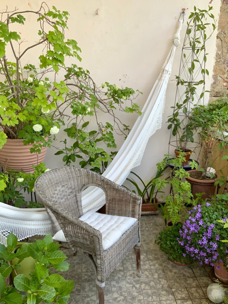 Flowers in a Cozy Sitting Area