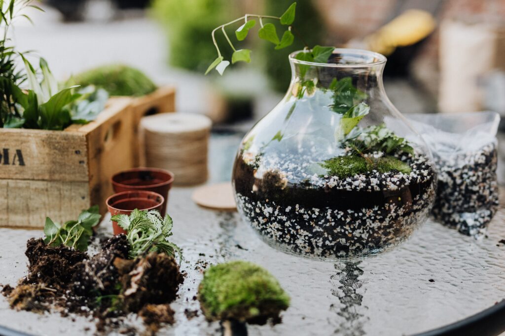 Terrarium-Style Gardens