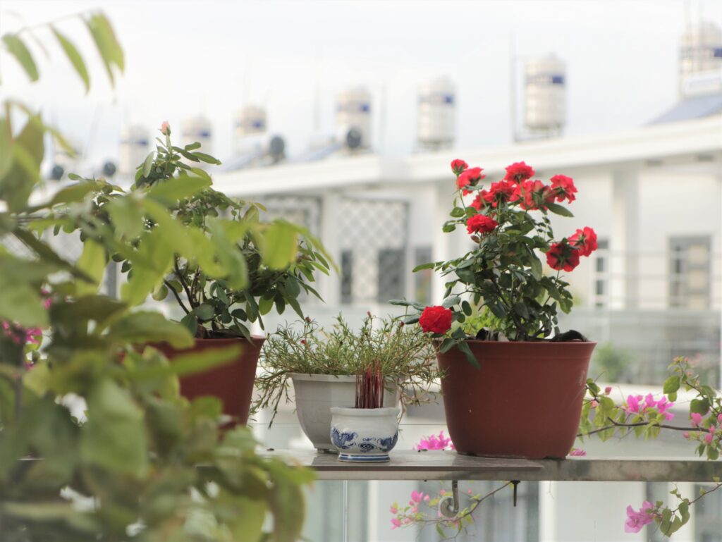 Easy-to-Maintain Flower Garden