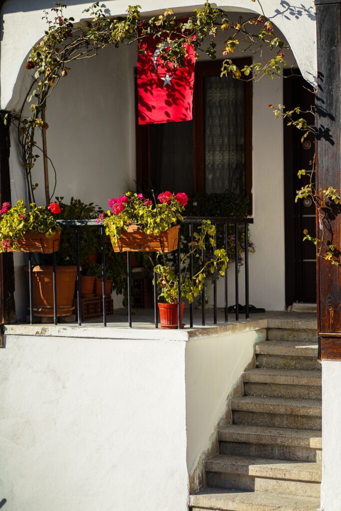 Flower Garden in an Empty Corner