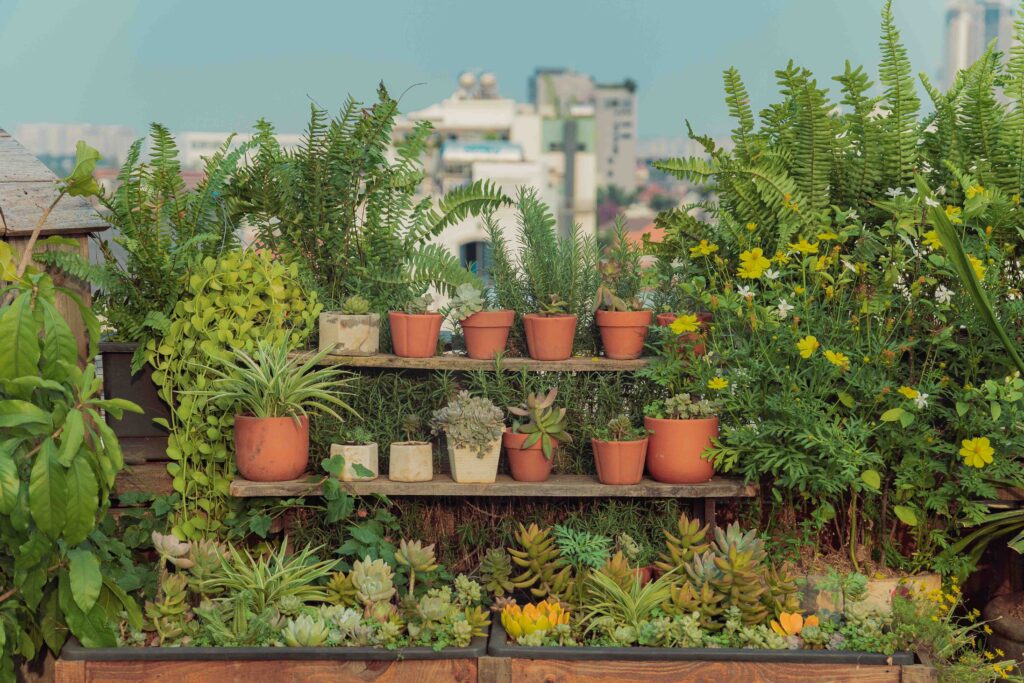 Mix Herbs and Flowers