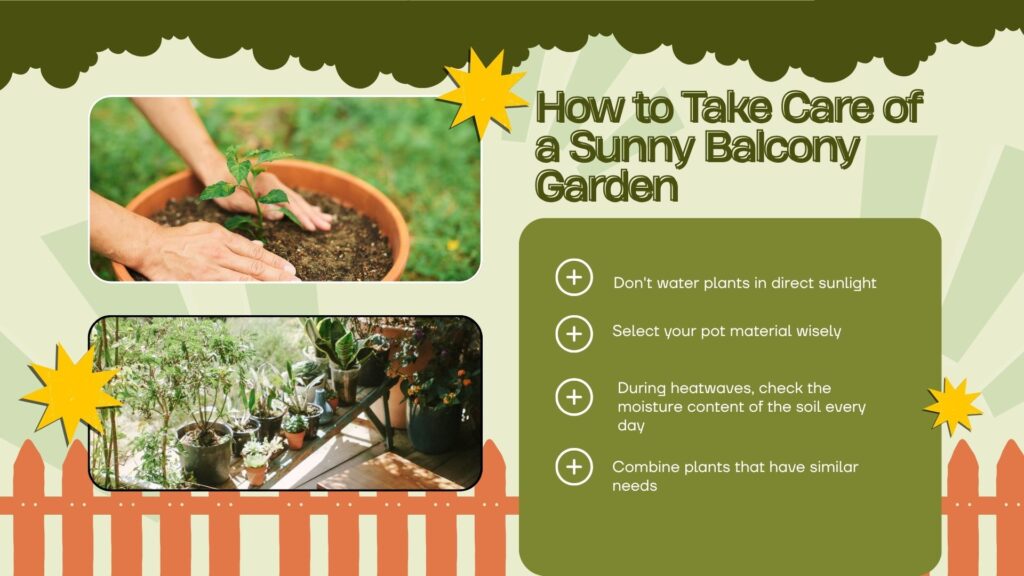 How to Take Care of a Sunny Balcony Garden