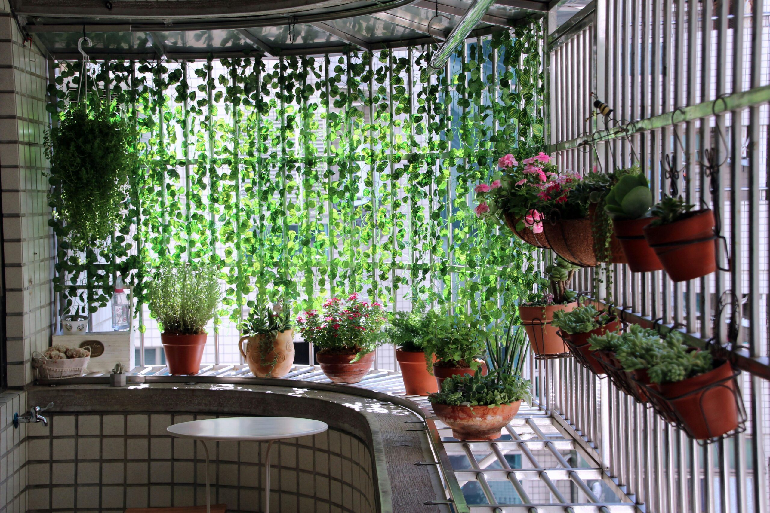 Indoor & Apartment Gardening Tips