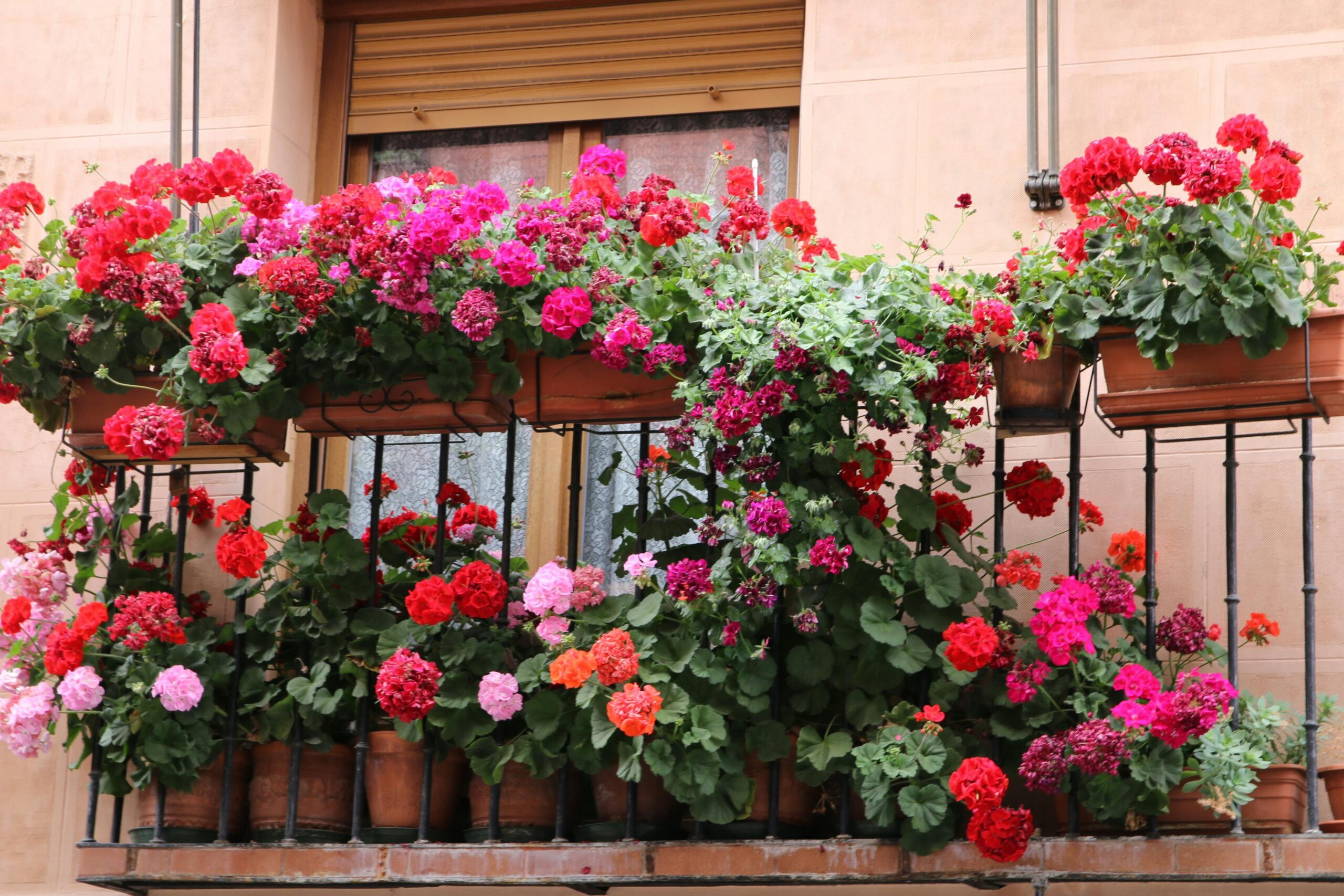 Balcony Garden Ideas