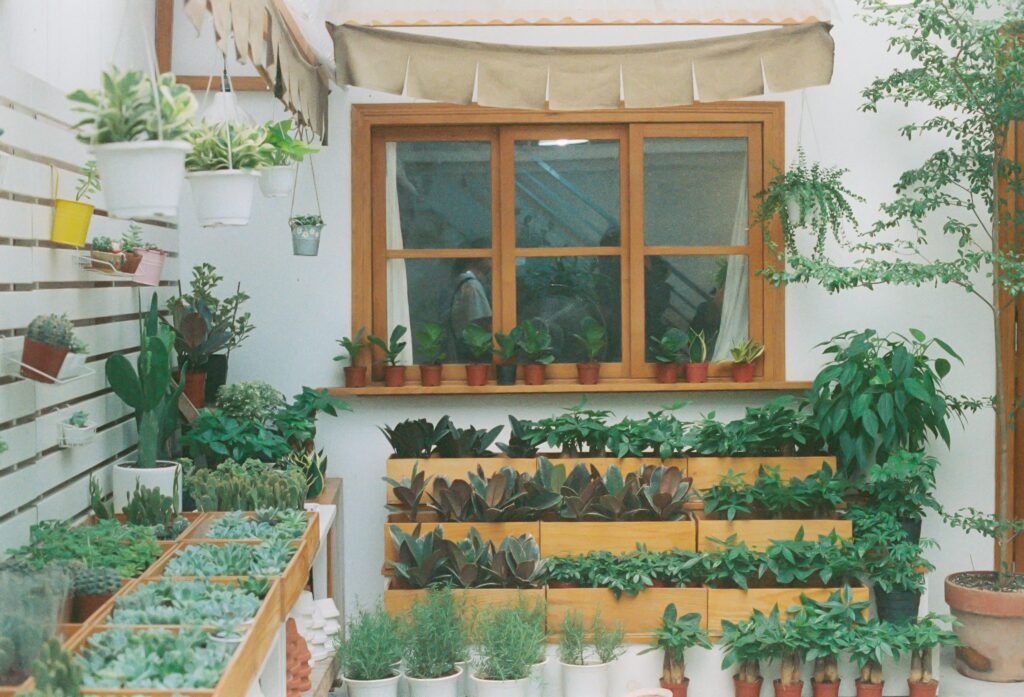 Indoor Garden Ideas for Small Spaces 