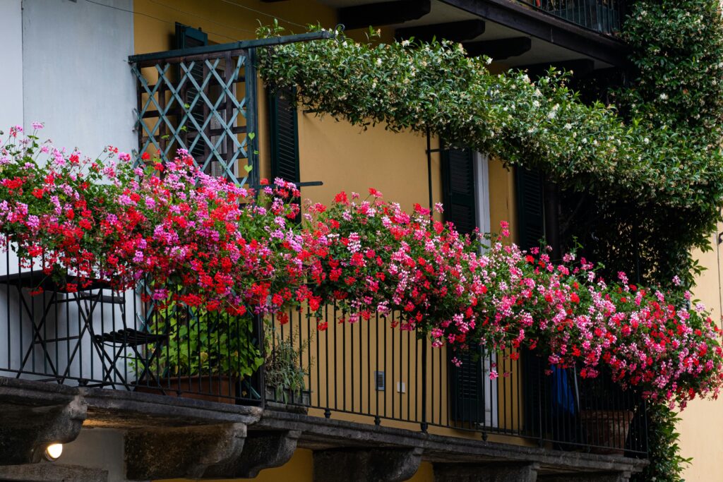 Balcony Garden Ideas
