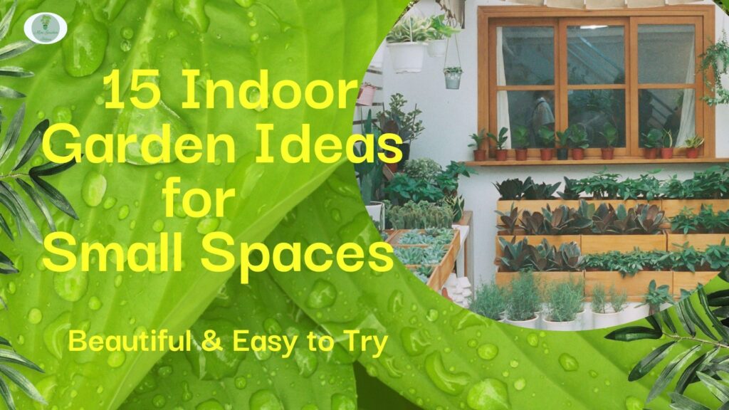15 Indoor Garden Ideas for Small Spaces