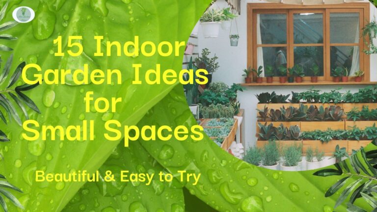 15 Indoor Garden Ideas for Small Spaces