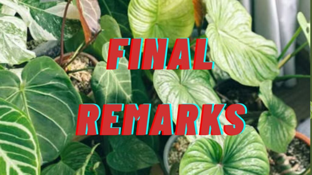 Final Remarks