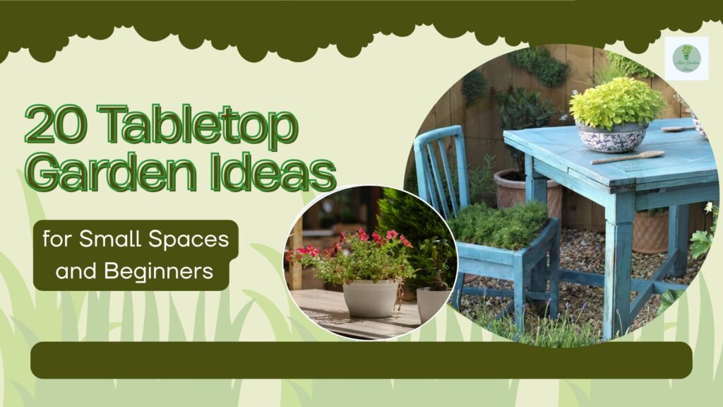 20 Tabletop Garden Ideas for Small Spaces & Beginners