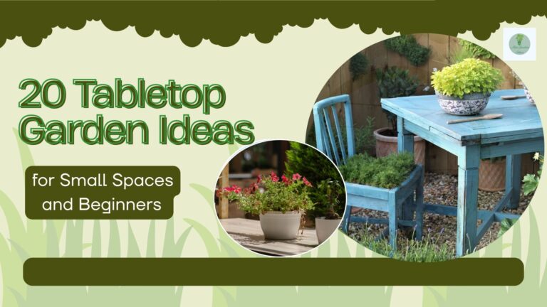 20 Tabletop Garden Ideas for Small Spaces & Beginners