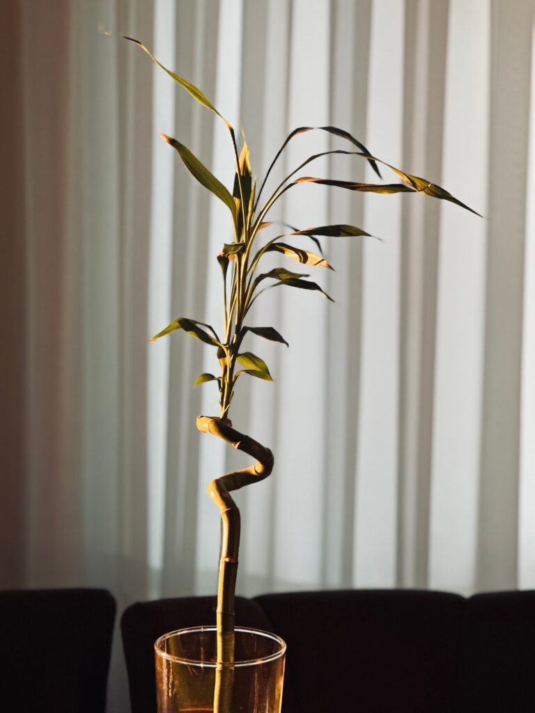 Stunted or Slow Growth
