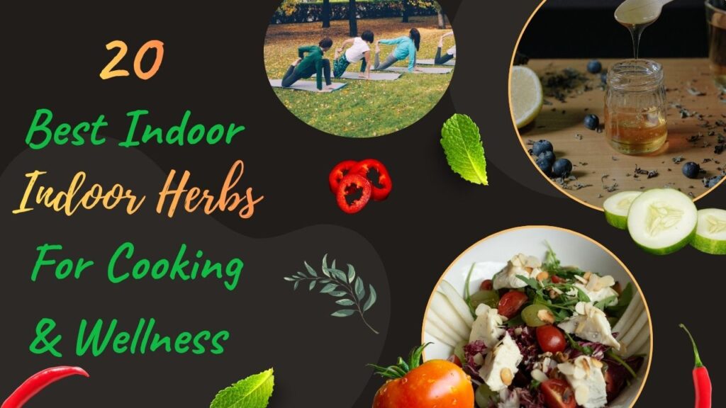 20 Best Indoor Herbs to Grow for Cooking & Wellness