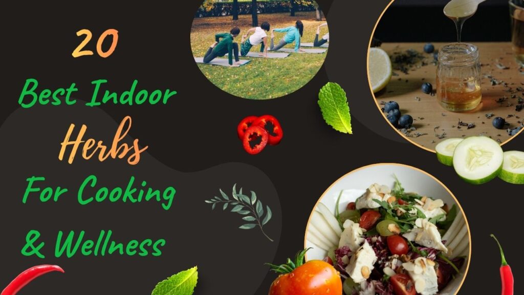 20 Best Indoor Herbs to Grow for Cooking & Wellness